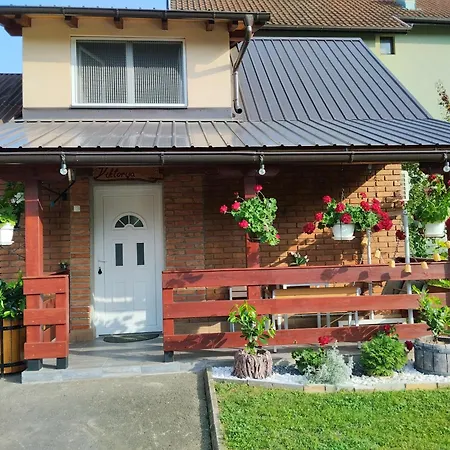 公寓 Viktorija 巴伊纳巴什塔